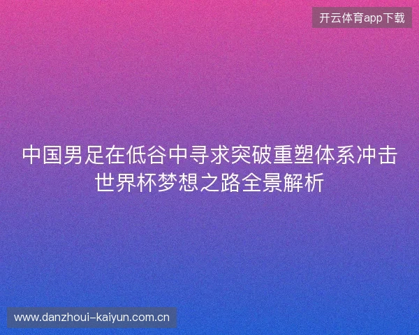 中国男足在低谷中寻求突破重塑体系冲击世界杯梦想之路全景解析